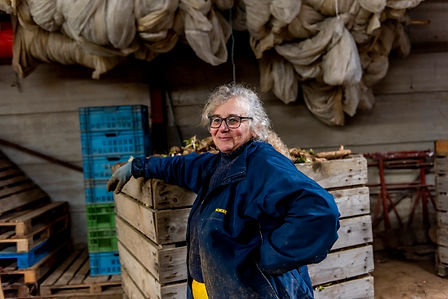 Schoevaerts-Hoogeras Logo